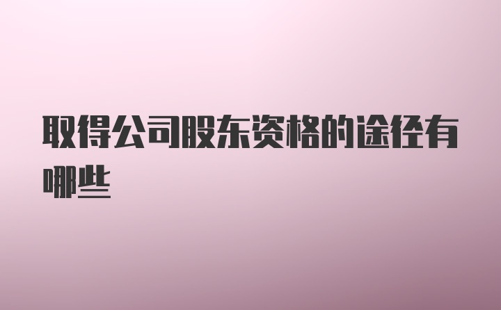 取得公司股东资格的途径有哪些