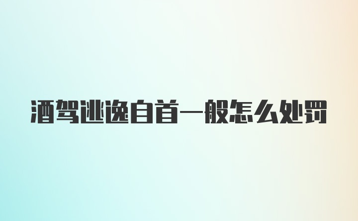 酒驾逃逸自首一般怎么处罚