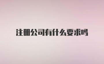 注册公司有什么要求吗