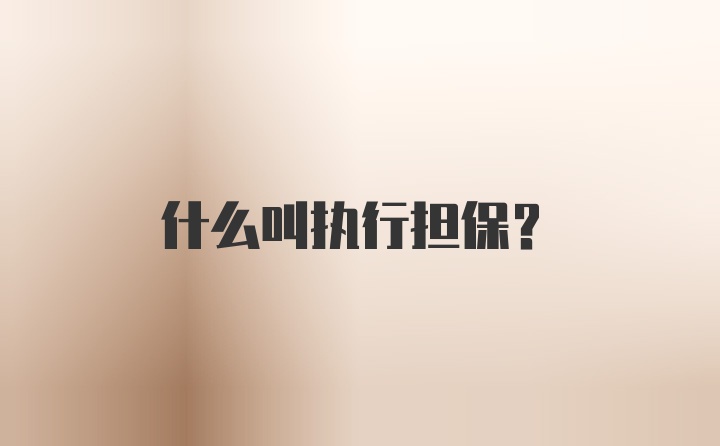 什么叫执行担保？