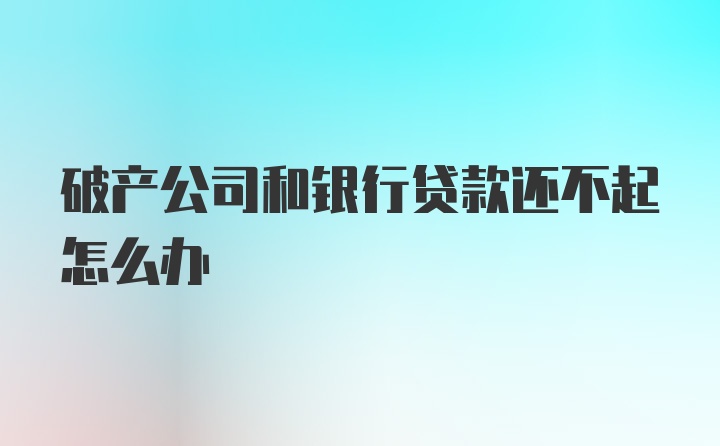 破产公司和银行贷款还不起怎么办