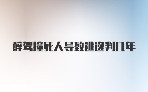 醉驾撞死人导致逃逸判几年