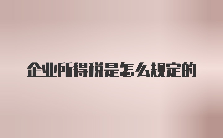 企业所得税是怎么规定的