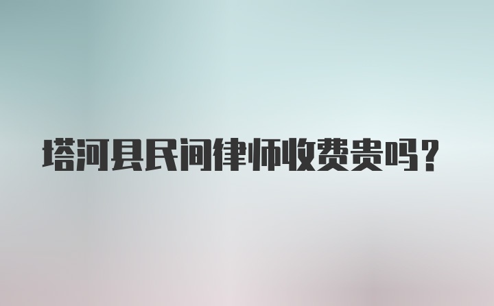 塔河县民间律师收费贵吗？