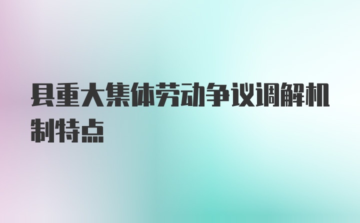 县重大集体劳动争议调解机制特点