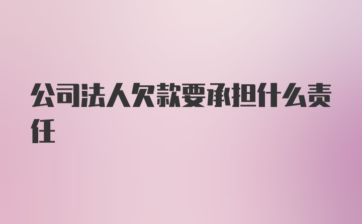 公司法人欠款要承担什么责任