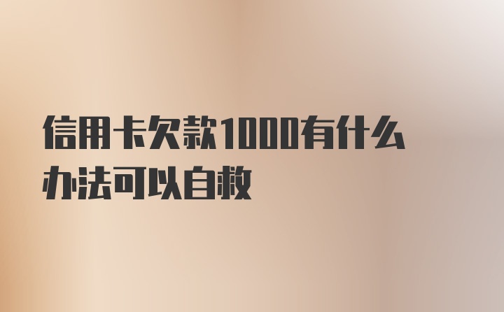 信用卡欠款1000有什么办法可以自救