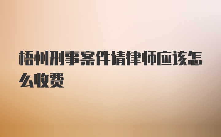 梧州刑事案件请律师应该怎么收费