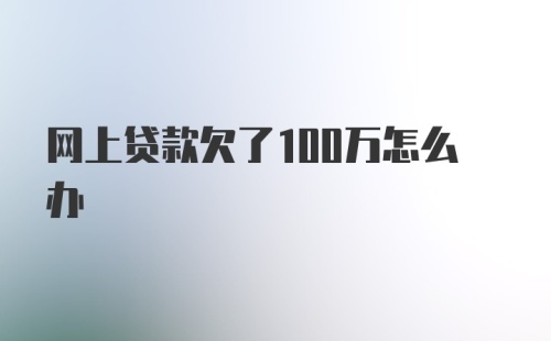 网上贷款欠了100万怎么办