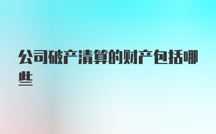 公司破产清算的财产包括哪些