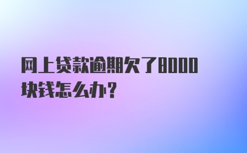 网上贷款逾期欠了8000块钱怎么办？