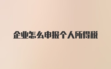 企业怎么申报个人所得税