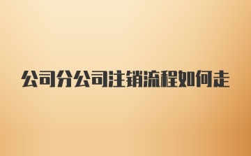 公司分公司注销流程如何走