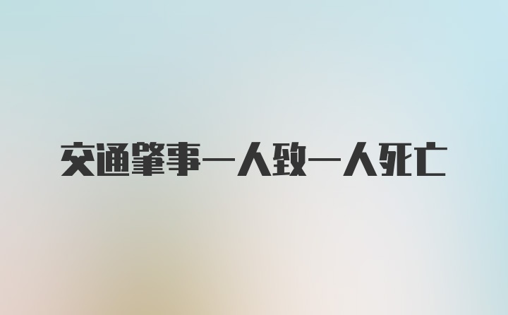 交通肇事一人致一人死亡