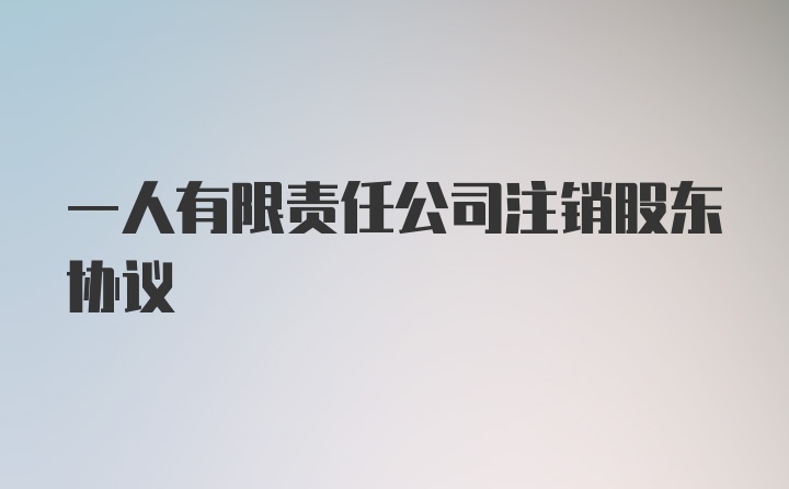 一人有限责任公司注销股东协议