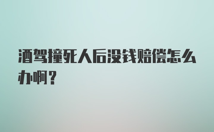 酒驾撞死人后没钱赔偿怎么办啊？