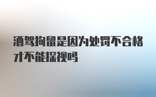 酒驾拘留是因为处罚不合格才不能探视吗