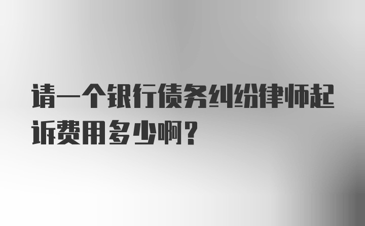 请一个银行债务纠纷律师起诉费用多少啊？