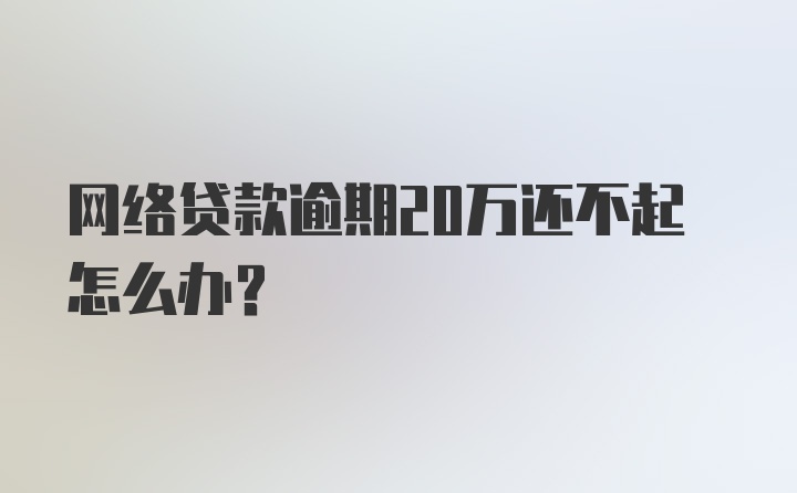 网络贷款逾期20万还不起怎么办？