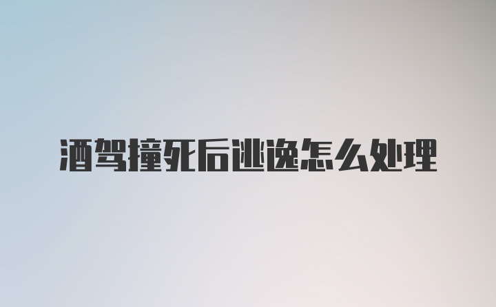 酒驾撞死后逃逸怎么处理