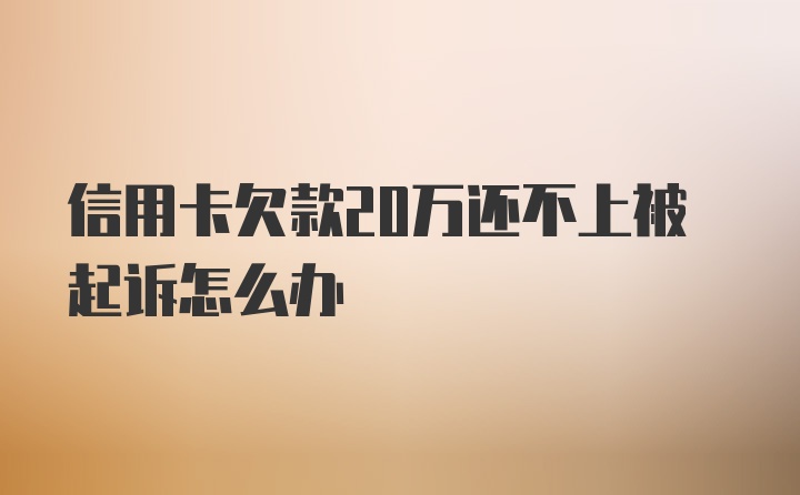 信用卡欠款20万还不上被起诉怎么办