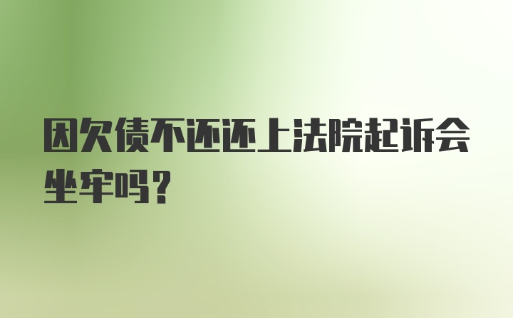 因欠债不还还上法院起诉会坐牢吗？