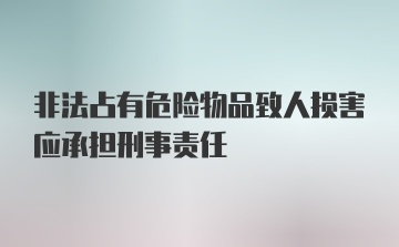 非法占有危险物品致人损害应承担刑事责任