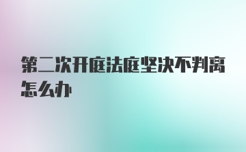 第二次开庭法庭坚决不判离怎么办