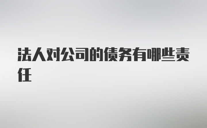 法人对公司的债务有哪些责任