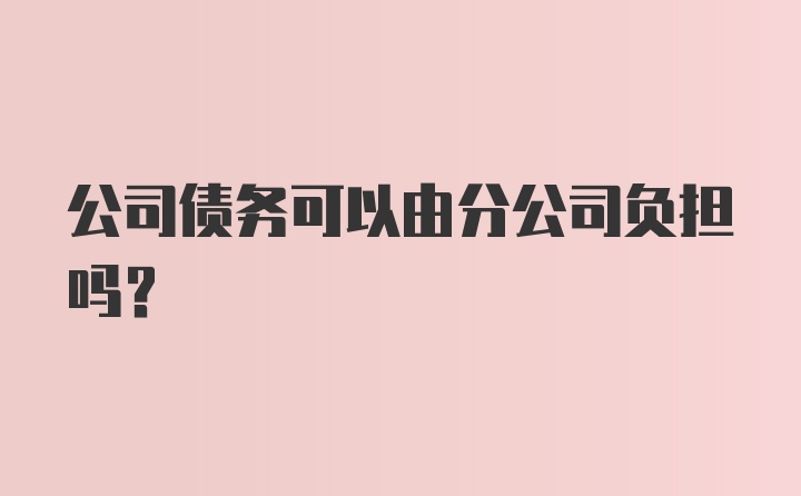 公司债务可以由分公司负担吗？