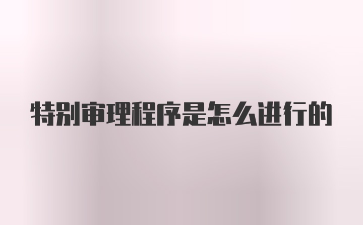 特别审理程序是怎么进行的