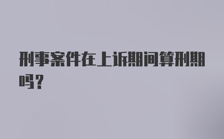 刑事案件在上诉期间算刑期吗？