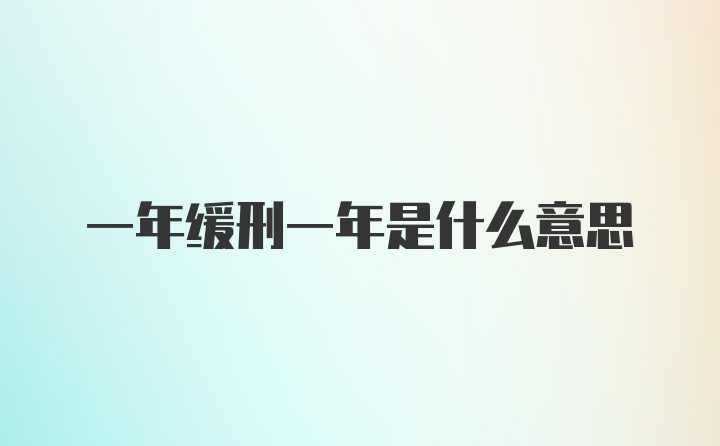 一年缓刑一年是什么意思