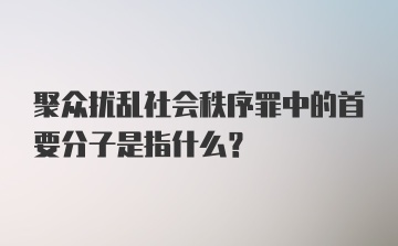 聚众扰乱社会秩序罪中的首要分子是指什么？