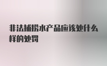 非法捕捞水产品应该处什么样的处罚