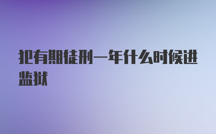 犯有期徒刑一年什么时候进监狱