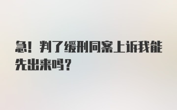 急！判了缓刑同案上诉我能先出来吗？