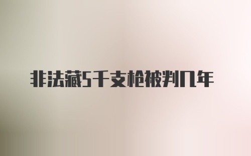 非法藏5千支枪被判几年