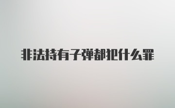 非法持有子弹都犯什么罪