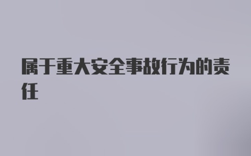 属于重大安全事故行为的责任