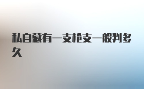 私自藏有一支枪支一般判多久