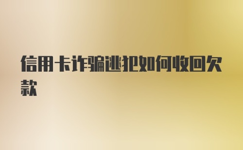 信用卡诈骗逃犯如何收回欠款