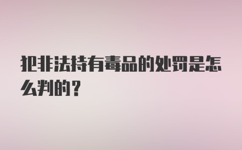 犯非法持有毒品的处罚是怎么判的?