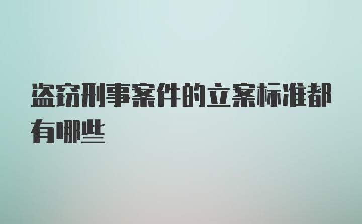 盗窃刑事案件的立案标准都有哪些