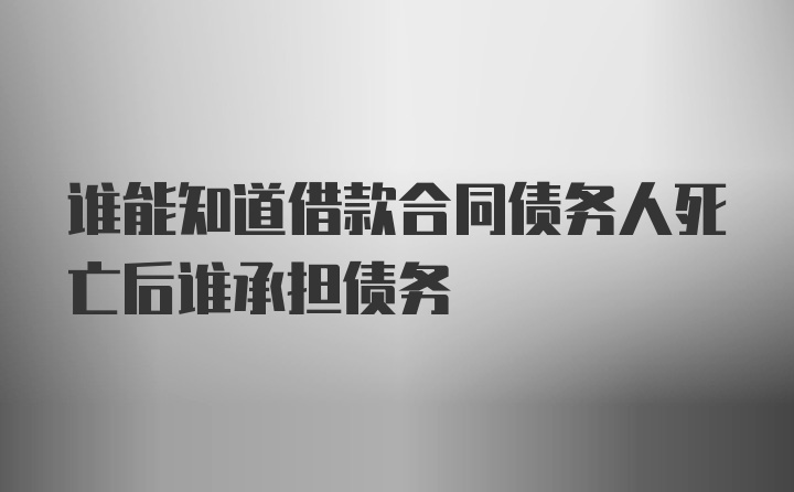 谁能知道借款合同债务人死亡后谁承担债务