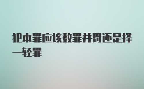 犯本罪应该数罪并罚还是择一轻罪