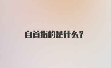 自首指的是什么?