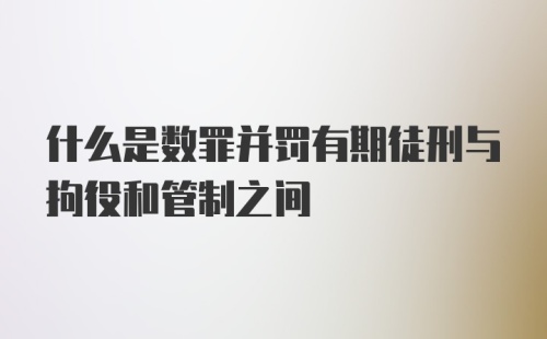 什么是数罪并罚有期徒刑与拘役和管制之间