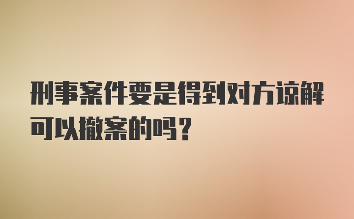 刑事案件要是得到对方谅解可以撤案的吗？