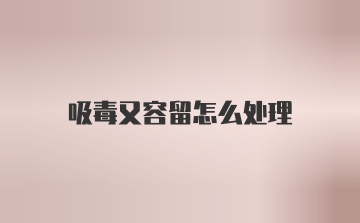 吸毒又容留怎么处理